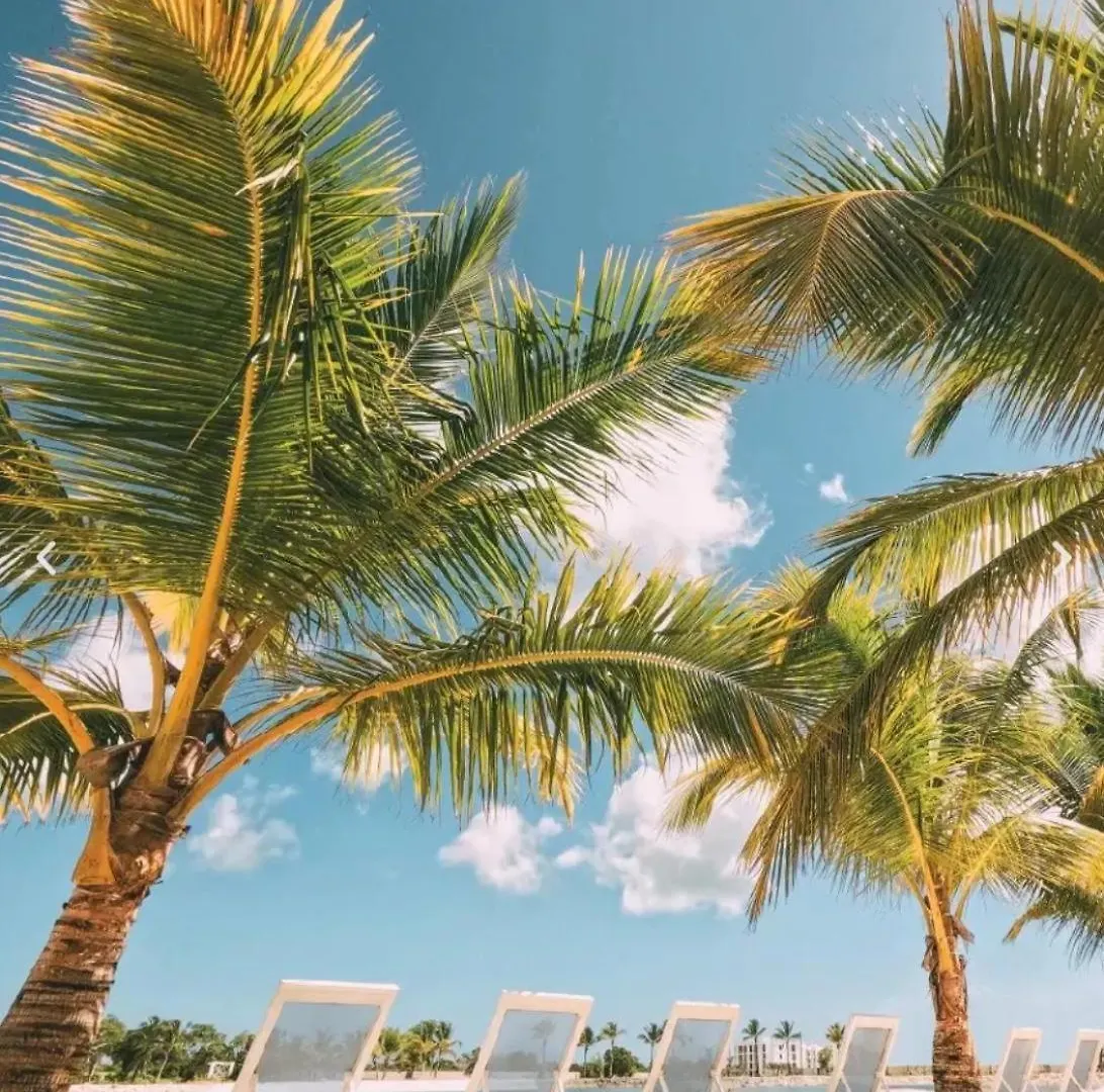 Punta Cana Oasis - Pool, Lake & Beach アパート